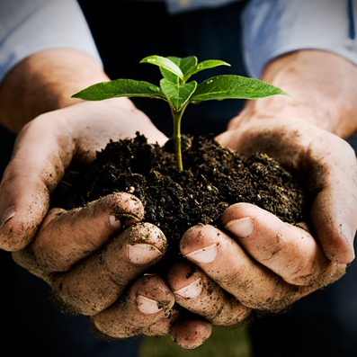 Transportation Engineering